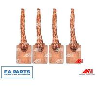 CARBON BRUSH STARTER BSX196