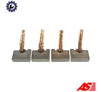 AS-PL BSX192-193(IKA) Carbon Brush, starter