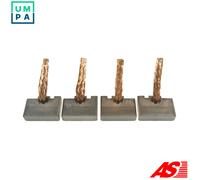 AS-PL BSX192-193(IKA) Carbon Brush, starter