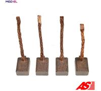 CARBON BRUSH STARTER BSX196