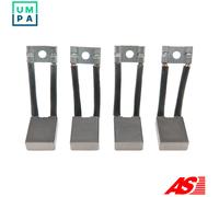 AS-PL JASX31(IKA) Carbon Brush, starter