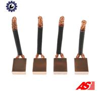 AS-PL LASX31(IKA) Carbon Brush, starter