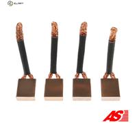 AS-PL LASX31(IKA) Carbon Brush, starter