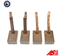 AS-PL MASX25-26(IKA) Carbon Brush, starter