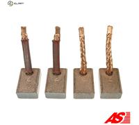 AS-PL MASX25-26(IKA) Carbon Brush, starter