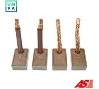 AS-PL MASX25-26(IKA) Carbon Brush, starter
