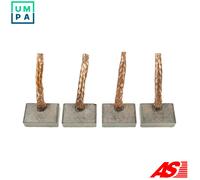 CARBON BRUSH STARTER SB0008S