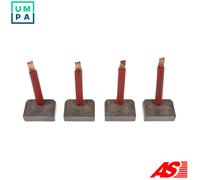 AS-PL SB1023S Carbon Brush, starter