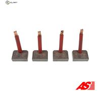 AS-PL SB1023S Carbon Brush, starter