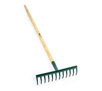 Carbon Steel 12 Tooth Rake
