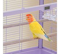 Carbon Steel Bird Flight Cage with Rolling Stand & Slide-Out Grate,purple | Includes seed guard, 16 secure feeders, and dishwasher-safe trays-specs not shown in the title