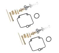 Carburetor Carb Rebuild kit,Carburetor Rebuild Kit Carb Overhaul Accessories Replacement for F650 BST33 GS500E