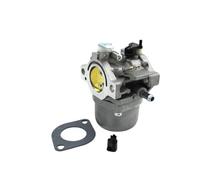 Carburetor Compatible With 799728 Fits 498027 498231 499161 Replacement Carb