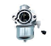 Carburetor Fit For 497581 495782 494894 495784 494881 495778 494883 698171 697594 692684 495780 494886 499074 696461 Carb