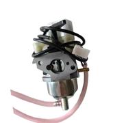 Carburetor Fit For P15E-1