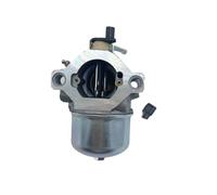 Carburetor For 497581 495782 494894 495784 494881 495778 494883 698171 697594 692684 495780 494886 499074 696461 176432-0035-01