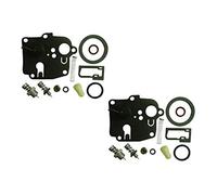 Carburetor Overhaul Kit Replaces Briggs & Stratton 494623 (Pack of 2)