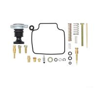 Carburetor Rebuild Kit for Honda 300 TRX300 1993-2000, Includes Pump Spring Screw Set with 120 Main Jet for ATV Repair