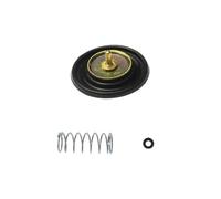 Carburetor Rebuild Repair Kit Motorcycle Carburetor Repair Kit For SherryBerg CVK30 30MM CVK 150cc~250cc Carb Rebuild Parts Replacement Set Carb Set(SET 5)