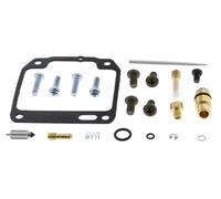 Carburetor Repair Kit