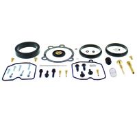 Carburetor Repair Kit
