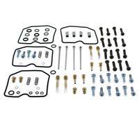Carburetor Repair Kit