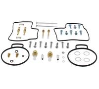 Carburetor Repair Kit