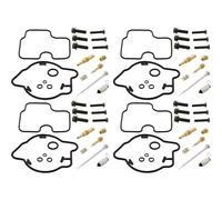Carburetor Repair Kit