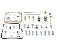 Carburetor Repair Kit