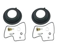 Carburetor Repair Kit For PC800 For Pacific Coast 1989-1995 1996 1997 1998 Float Needle O-ring Vacuum Diaphragm Parts Carburetor Overhaul Kit