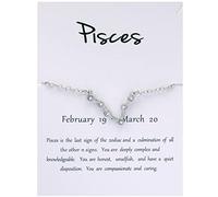 Card Bracelets Women 925 Silver Zodiac 12 Constellation Link Bracelet With A Blessing Card (SL2, One Size)