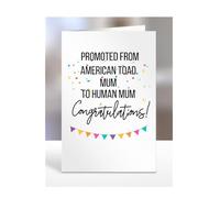 Card for New Parents, Mum, Mummy, Birthday Gifts, Presents for Christmas, Promoted from American toad to Human, Women, Congratulations, A5-219_3