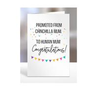 Card for New Parents, Mum, Mummy, Birthday Gifts, Presents for Christmas, Promoted from Chinchilla to Human, Women, Congratulations, A5-219_24