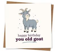 Card, Funny Birthday Card for Goat Lover, Happy Birthday You Old Goat Humorous Animal Greeting