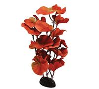 Cardamine Red Silk Like Plant 50cm by KenKoi