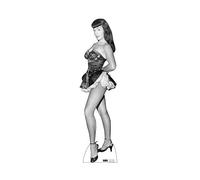 Cardboard People Bettie Page Fish Net Nylons Life Size Cardboard Cutout Standup