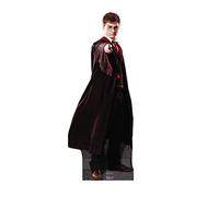Cardboard People Harry Potter Life Size Cardboard Cutout Standup - Harry Potter and The Order of The Phoenix