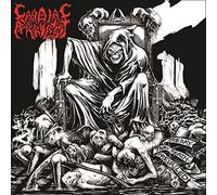 Cardiac Arrest - The Day That Death Prevailed [VINYL]