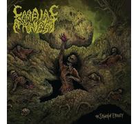 The Stench Of Eternity [VINYL]