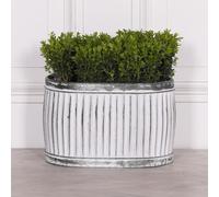Cardiff Metal Planter - Tub - Oval - Small