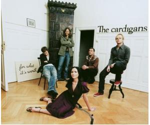 Cardigans the - For What It's Worth