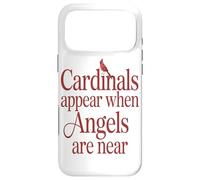 Cardinal Appear When Angel Are Near Bird Lover Case for iPhone 17 Pro Max
