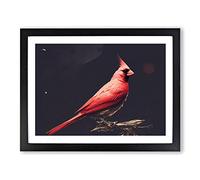 Cardinal Bird Art Painting Vol.1 Framed Print | A4 Black Framed Wall Art | Ready to Hang | Modern Historical Picture | Living Room Bedroom Lounge Office