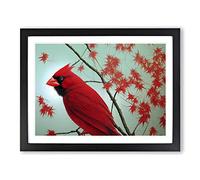 Cardinal Bird Vol.13 Framed Print | A3 Black Framed Wall Art | Ready to Hang | Modern Nature Picture | Living Room Bedroom Lounge Office