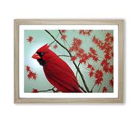 Cardinal Bird Vol.13 Framed Print | A4 Oak Framed Wall Art | Ready to Hang | Modern Nature Picture | Living Room Bedroom Lounge Office