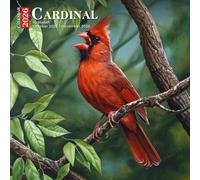 Cardinal Calendar 2026: Red Beauties Bringing Warmth to Winter and Beyond