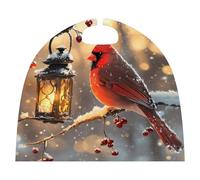 Cardinal Cute Bird With Lantern Small Cape for Unisex Halloween Costume Outfits Cosplay Party Accessories