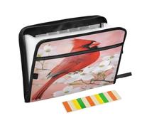 Cardinal White Cherry Expanding File Folder A4,13 Pockets File Organiser, Paperwork A4 Plastic Wallet Document Storage Expander for School,Office and Home