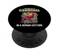 Cardinals Cardinal Bird PopSockets Adhesive PopGrip