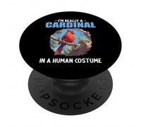 Cardinals Cardinal Bird PopSockets Adhesive PopGrip